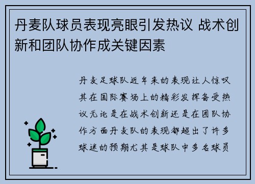 丹麦队球员表现亮眼引发热议 战术创新和团队协作成关键因素