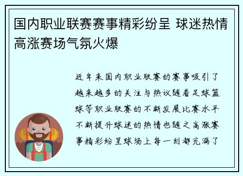 国内职业联赛赛事精彩纷呈 球迷热情高涨赛场气氛火爆